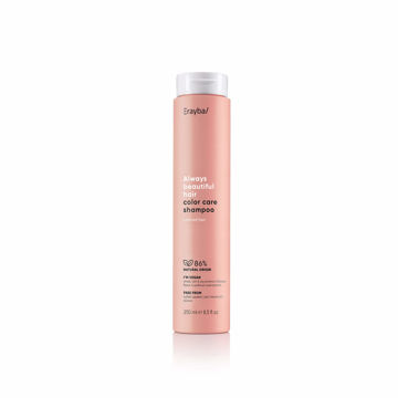 شامپو ارایبا مدل محافظ رنگ مو/Erayba color care shampoo